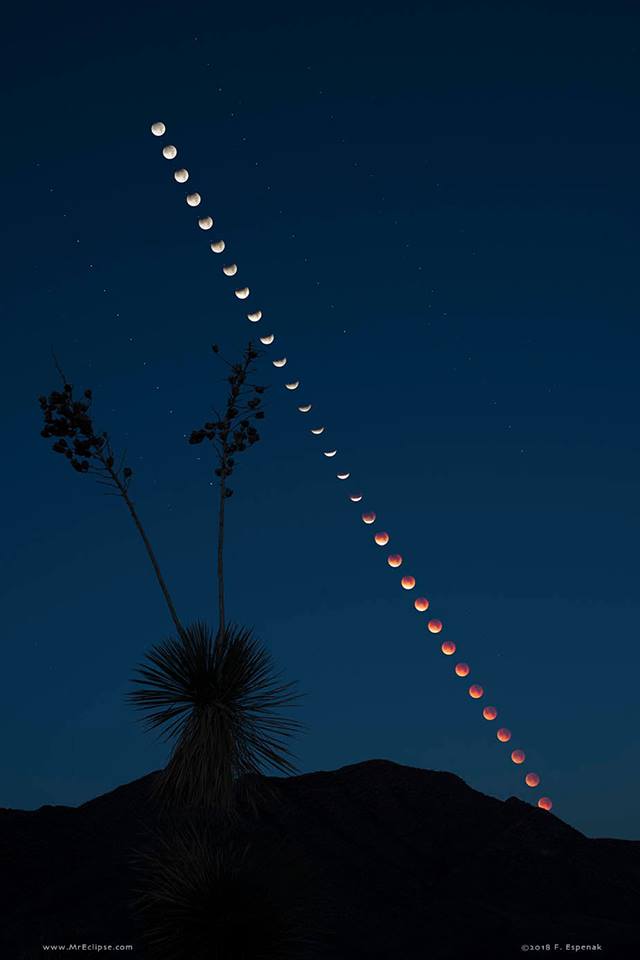 Here's an image of a Total Lunar Eclipse at Moonset Image Credit &amp; Copyright: Fred Espenak (MrEclipse.com)