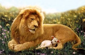 Isaiah 11:6 Lion and the Lamb Mandela Effect